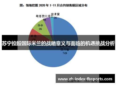 苏宁控股国际米兰的战略意义与面临的机遇挑战分析