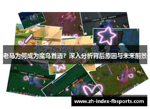 老马为何成为魔鸟首选？深入分析背后原因与未来前景