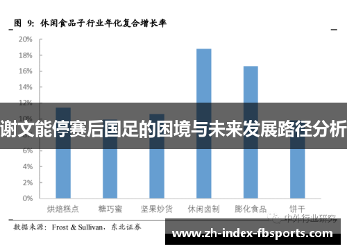 谢文能停赛后国足的困境与未来发展路径分析