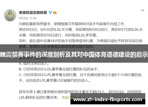 魏震禁赛事件的深度剖析及其对中国体育道德建设的启示